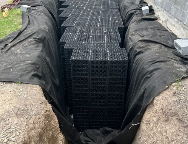 WhatsApp Image 2025-07-21 at 12.23.29 PM