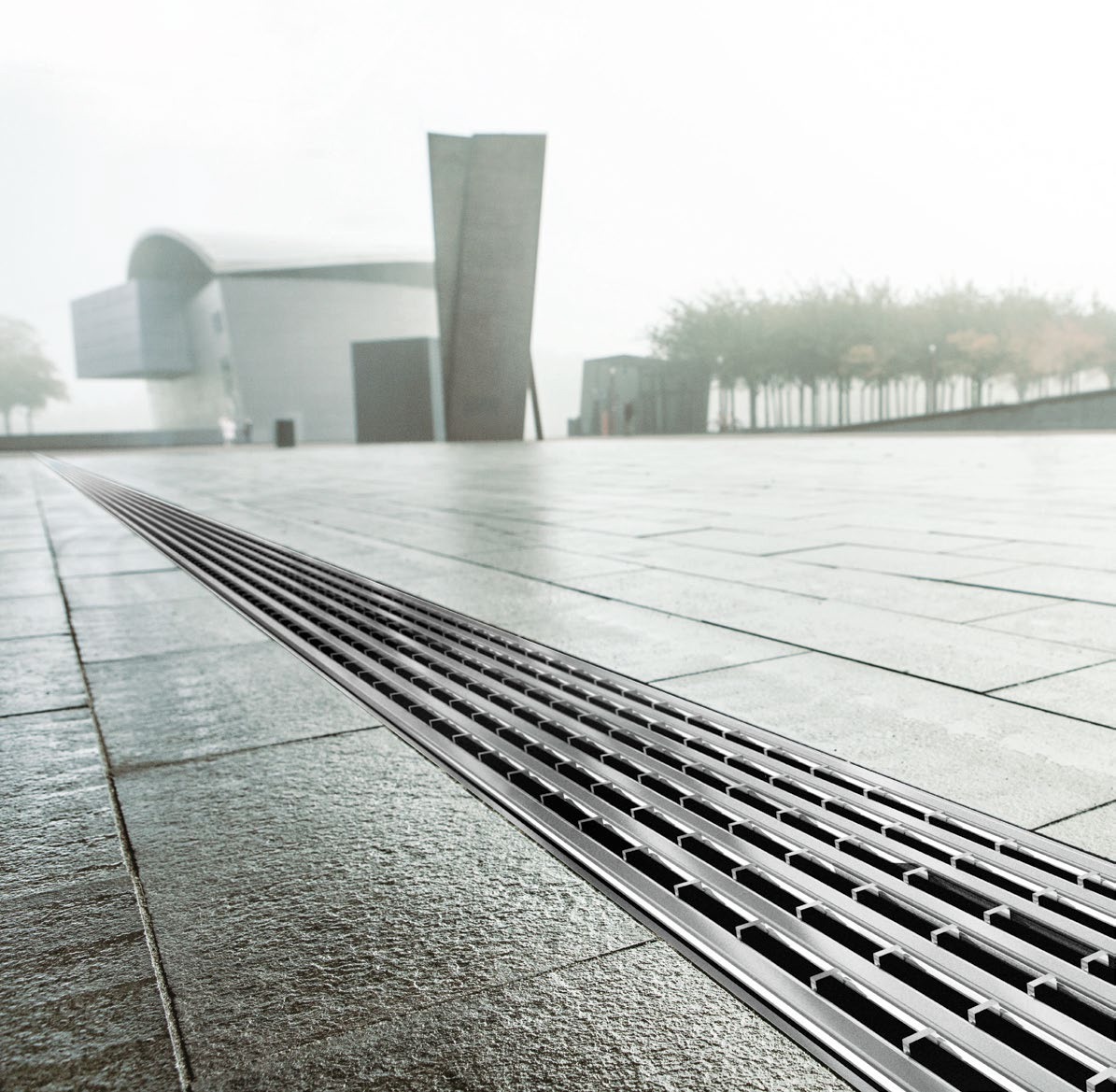 WhatsApp Image 2025-08-19 at 11.29.22 AM